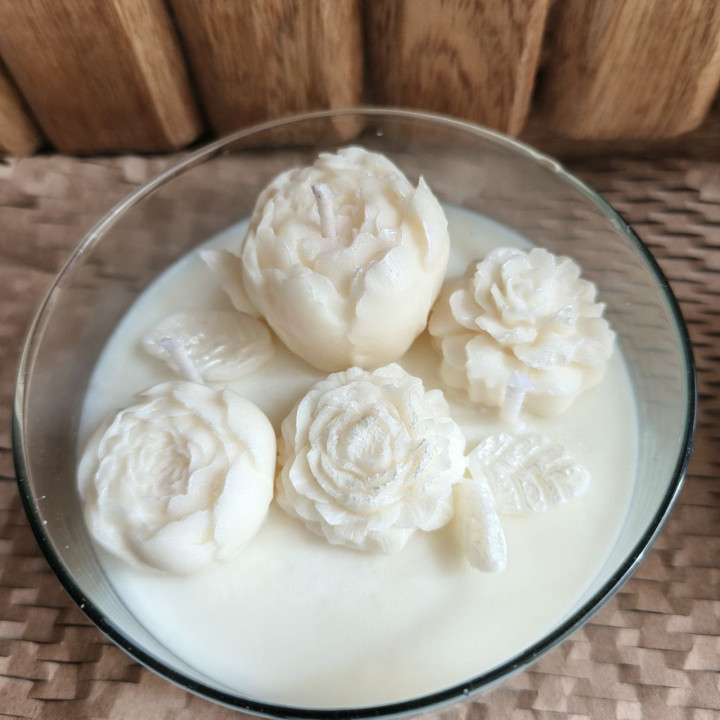 Vela florece plus