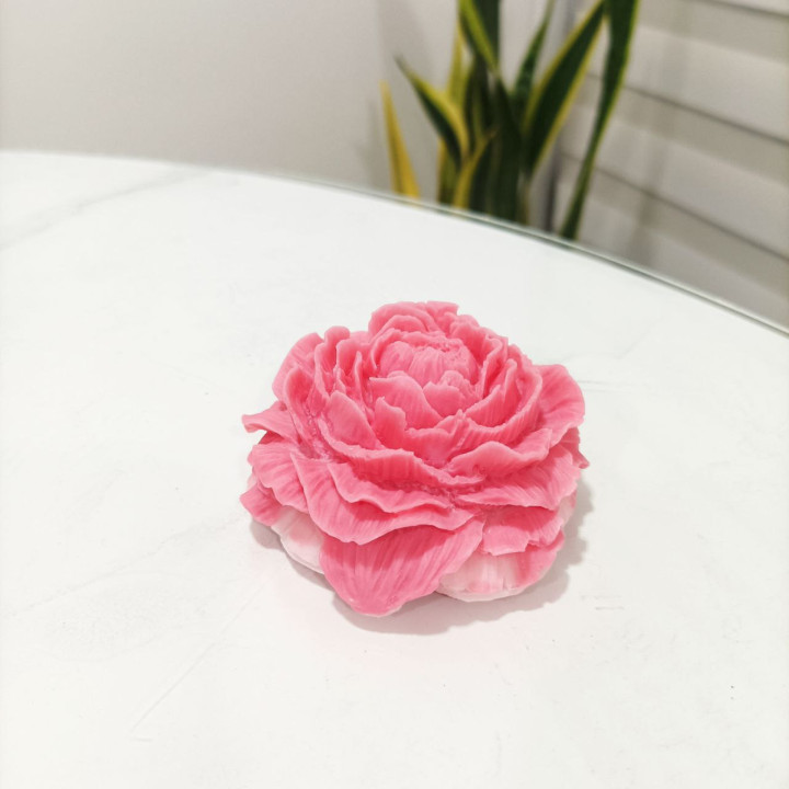 Rosas decorativas